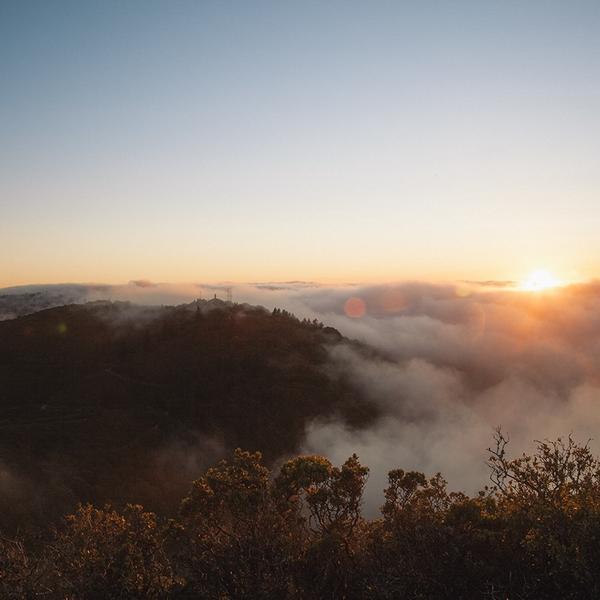 Mountains with brush and trees in low clouds at dusk.