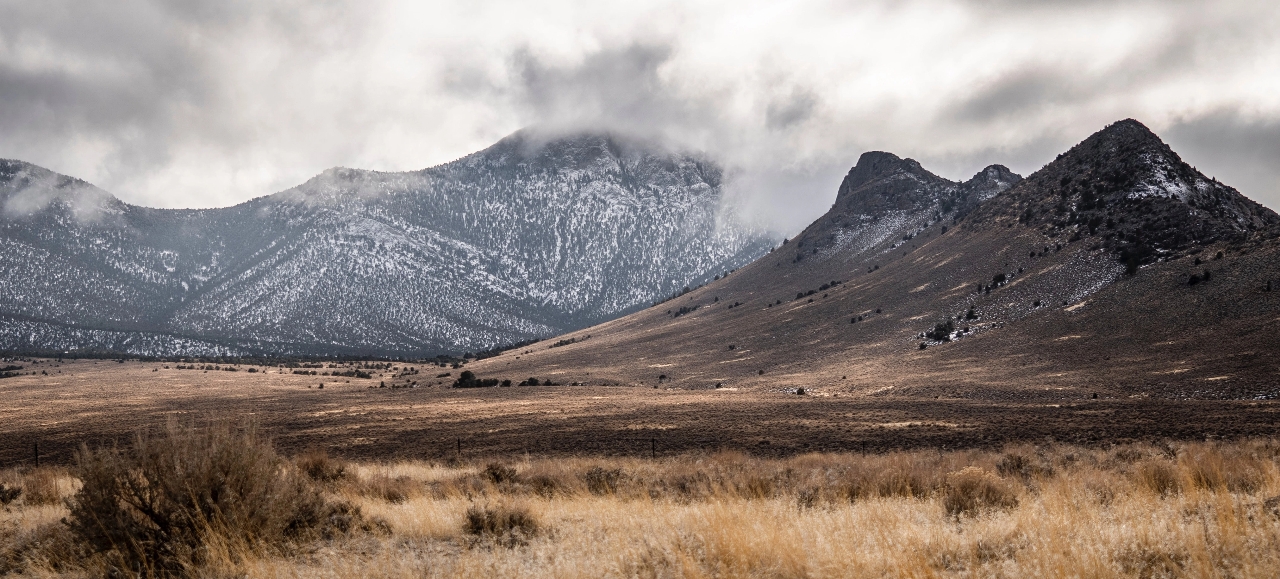 Mountain valley with pine trees and tall grasses under storm clouds.
