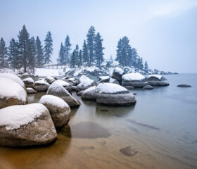 Lake shoreline with large boulders and tall trees in winter.